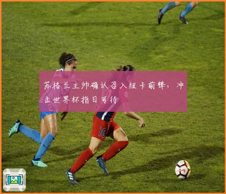 苏格兰主帅确认召入纽卡前锋，冲击世界杯指日可待